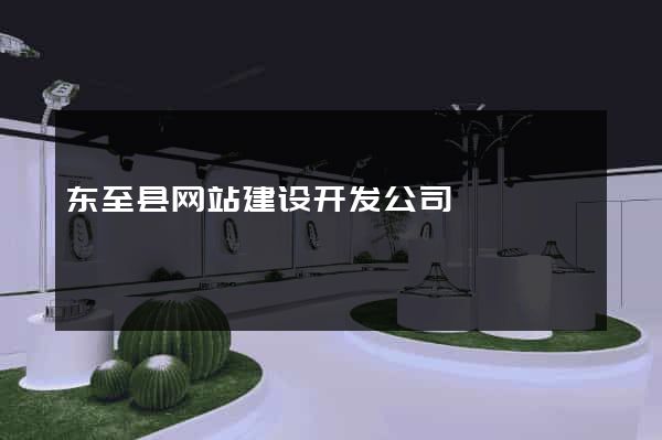东至县网站建设开发公司