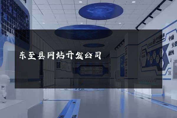 东至县网站开发公司