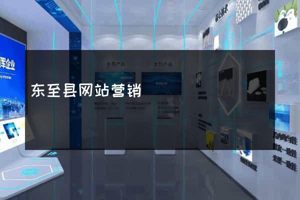 东至县网站营销