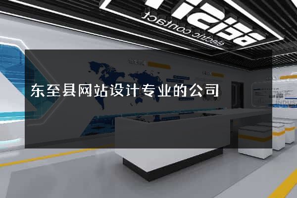 东至县网站设计专业的公司