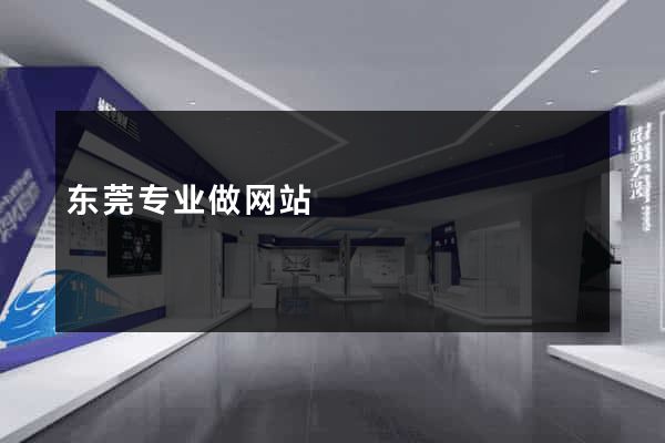 东莞专业做网站