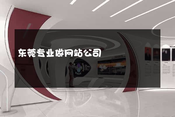 东莞专业做网站公司