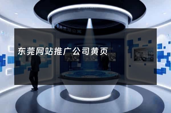东莞网站推广公司黄页