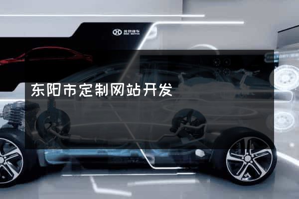东阳市定制网站开发