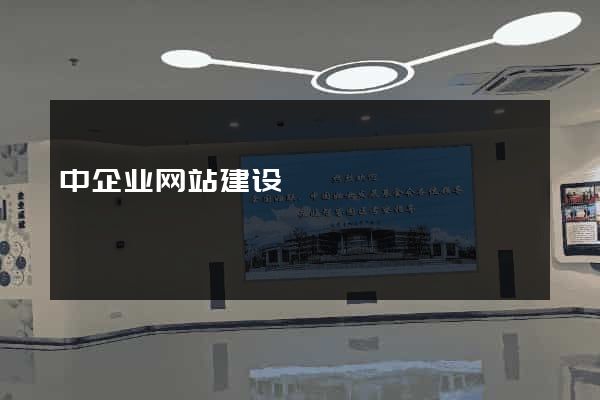 中企业网站建设