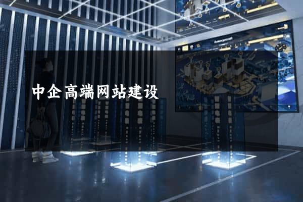 中企高端网站建设