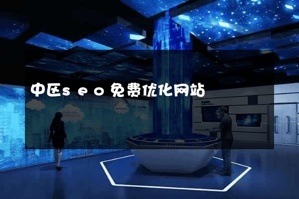 中区seo免费优化网站