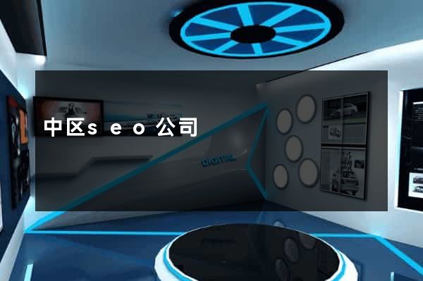中区seo公司