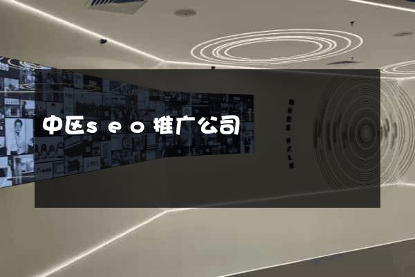 中区seo推广公司
