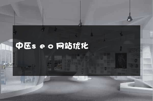 中区seo网站优化