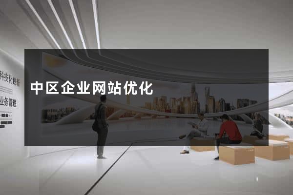 中区企业网站优化