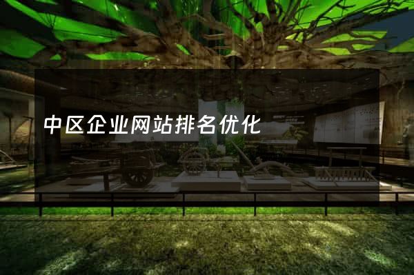 中区企业网站排名优化