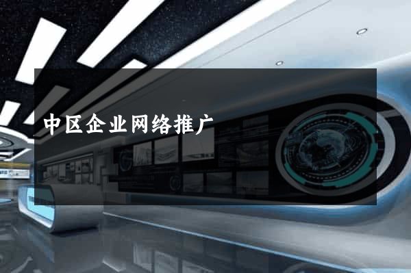 中区企业网络推广