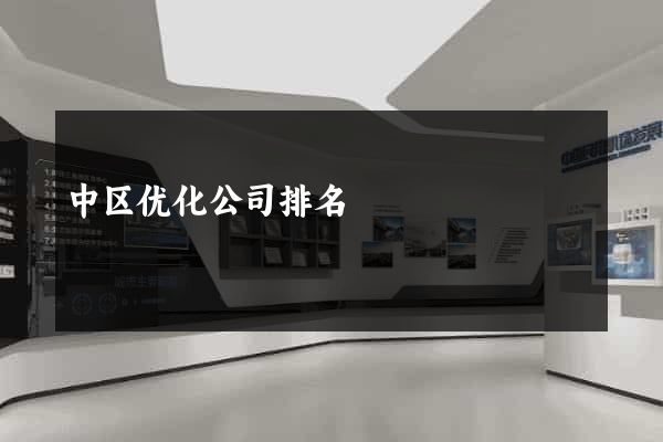 中区优化公司排名