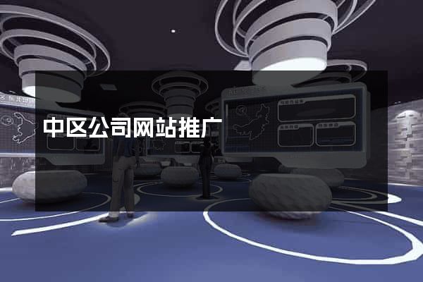 中区公司网站推广