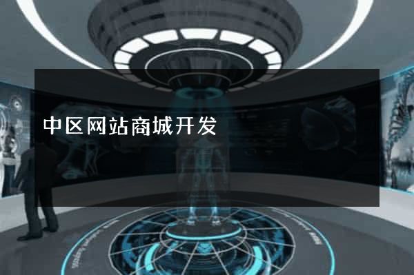中区网站商城开发