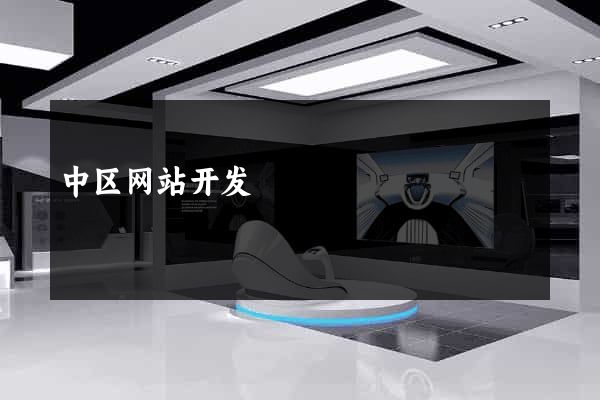 中区网站开发