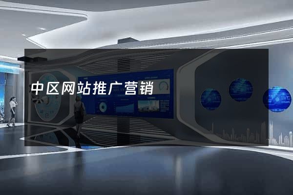 中区网站推广营销