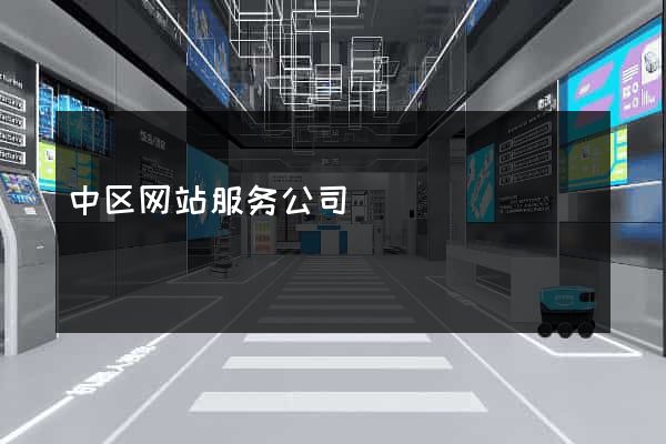 中区网站服务公司