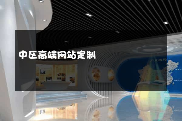 中区高端网站定制