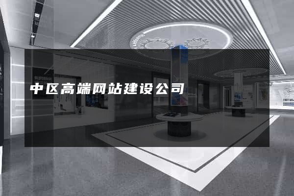 中区高端网站建设公司