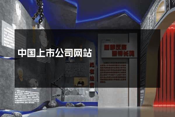 中国上市公司网站