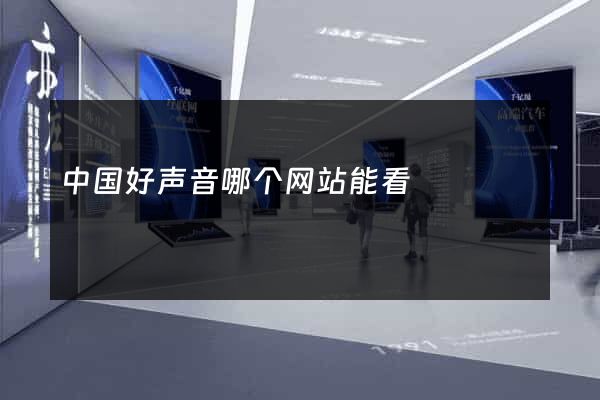 中国好声音哪个网站能看