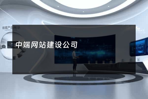 中端网站建设公司