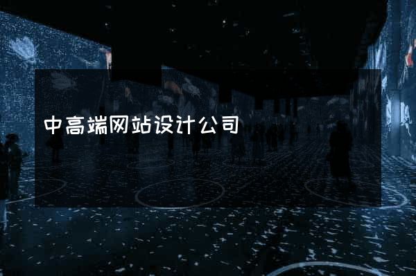 中高端网站设计公司