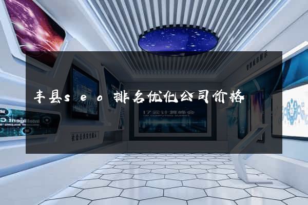 丰县seo排名优化公司价格