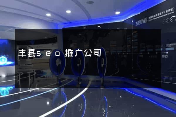 丰县seo推广公司