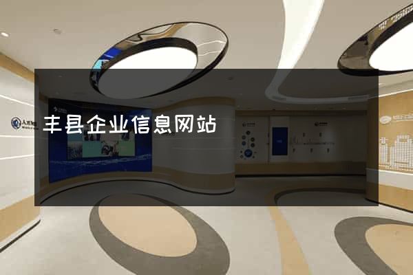 丰县企业信息网站