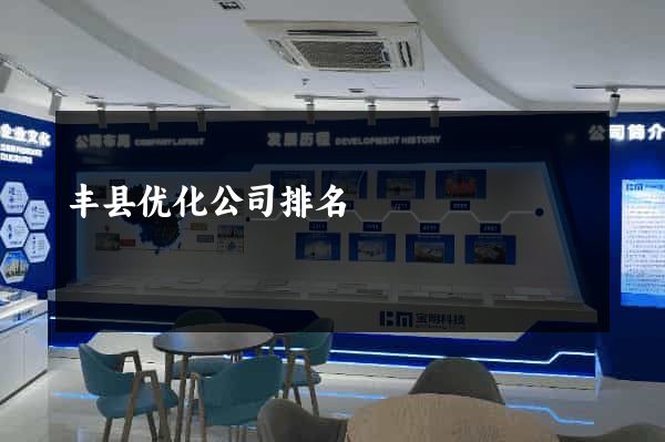 丰县优化公司排名