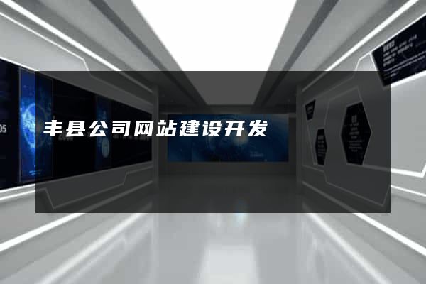 丰县公司网站建设开发