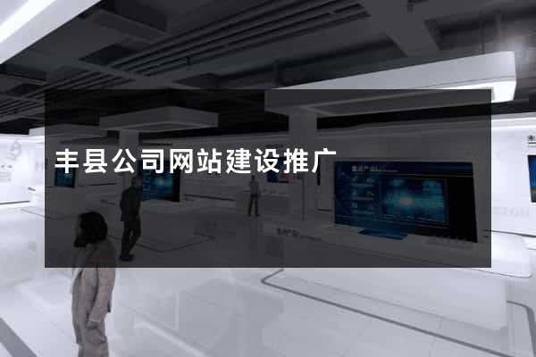 丰县公司网站建设推广