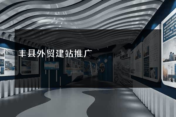 丰县外贸建站推广
