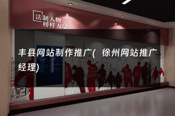 丰县网站制作推广(徐州网站推广经理)