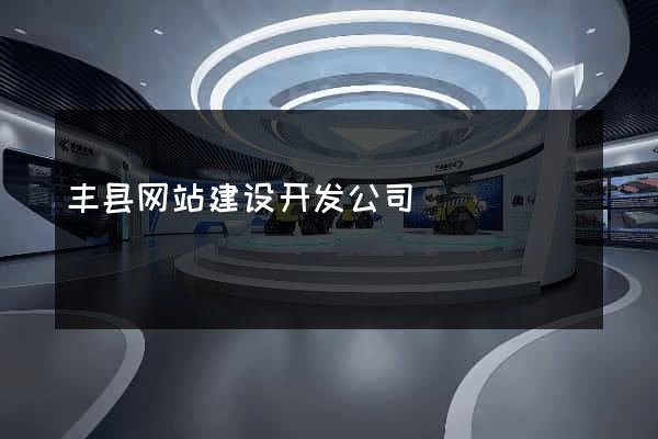 丰县网站建设开发公司