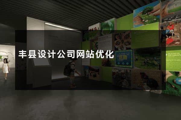 丰县设计公司网站优化