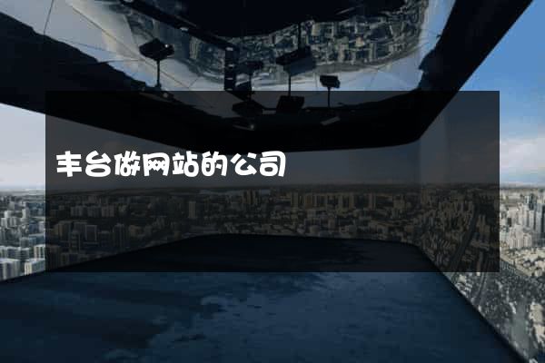 丰台做网站的公司