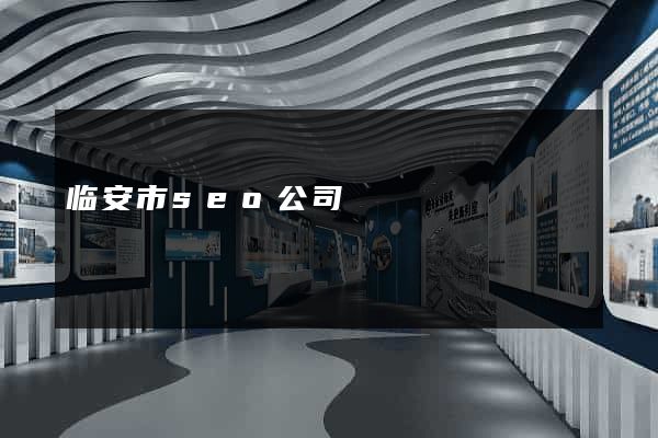 临安市seo公司