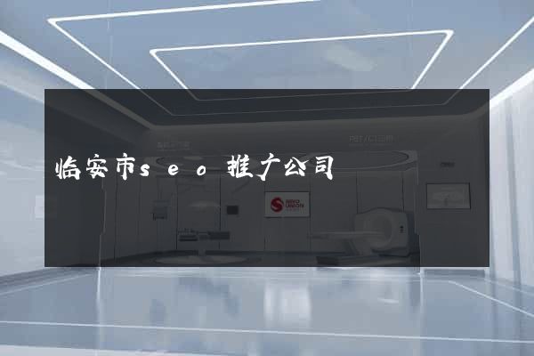 临安市seo推广公司
