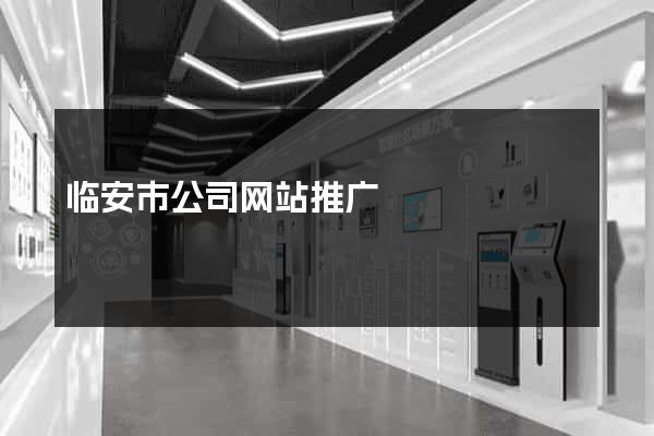 临安市公司网站推广