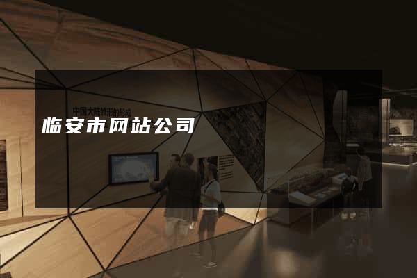 临安市网站公司