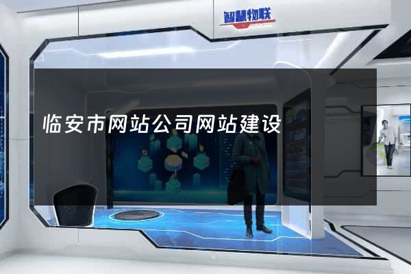 临安市网站公司网站建设