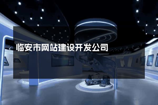 临安市网站建设开发公司