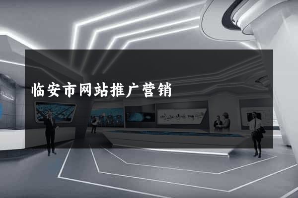 临安市网站推广营销