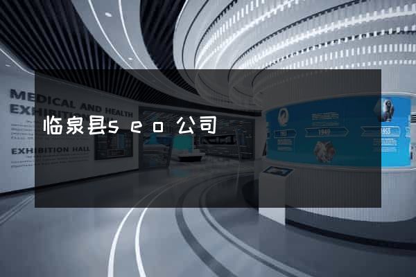临泉县seo公司