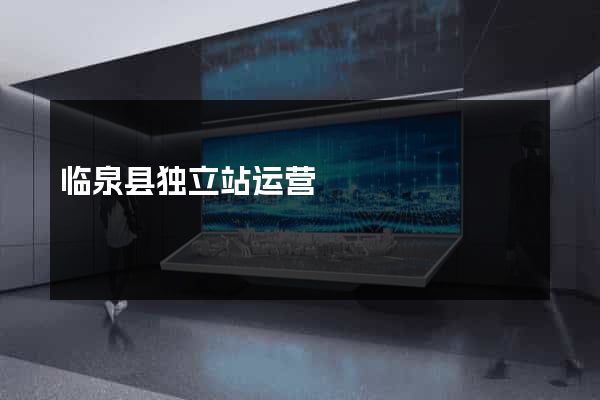 临泉县独立站运营