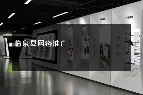 临泉县网络推广